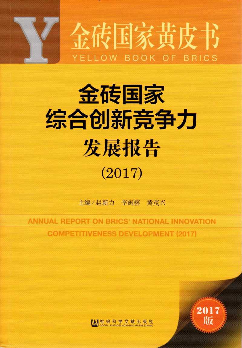 啪啪啪扣逼自慰网站金砖国家综合创新竞争力发展报告（2017）